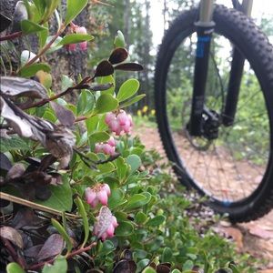 Meet your Posher, Natalie